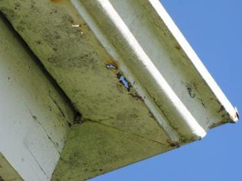 Mission Viejo Home Inspector Reports Gutter Defect