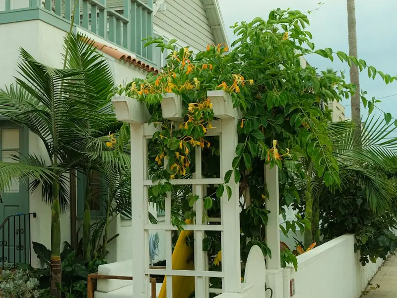 Covered patio and pergola beside a home